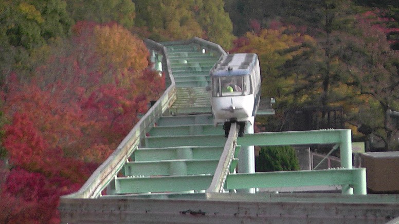 モノレールで動物園を見下ろしながら秋の東山植物園とこども動物園。 第1部 第2部 第3部
