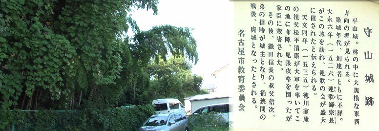 上記宝勝寺の東北にある守山城跡。 守山城跡。