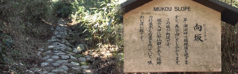 この坂が最後の坂ですが箱根峠へ向かう人には最初となります。