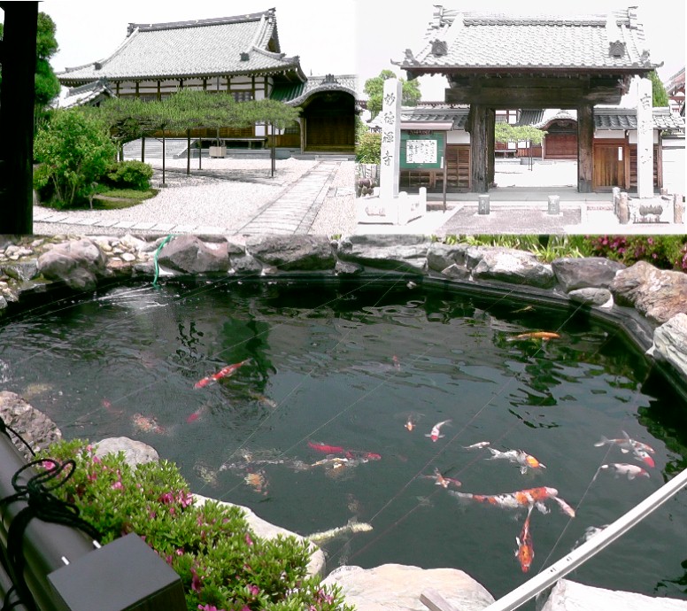 妙徳寺。初代小口城城主・織田遠江守広近は出家後、徳林寺を再興し、隠居所としてこの妙徳寺を創建したと 記されています。 妙徳寺