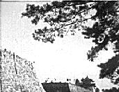 この写真は戦災で焼失後の荒廃した天守閣の石垣を