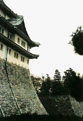 上と同じ場所からの写真