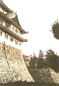 この写真は戦災で焼失後の荒廃した天守閣の石垣を