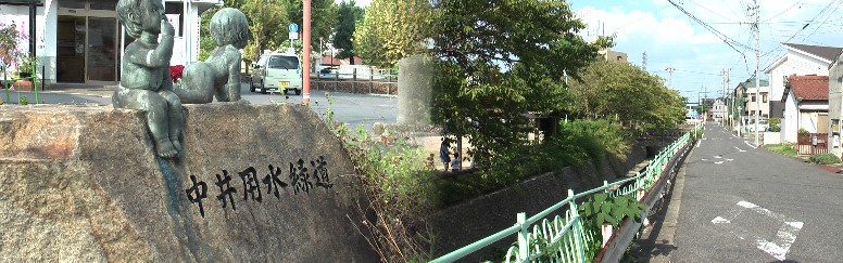 下記の大江川緑地に繋がる上流部の中井用水緑道です。