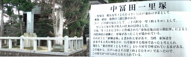 中富田一里塚、ここから亀山宿へ行きます。この付近から西へかけて家の庭先に 綺麗な花が咲いて旅人を和ませてくれます。