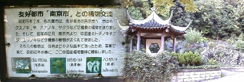 中国産植物園林(no.11)