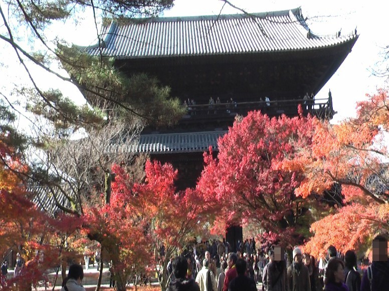 京都南禅寺の紅葉