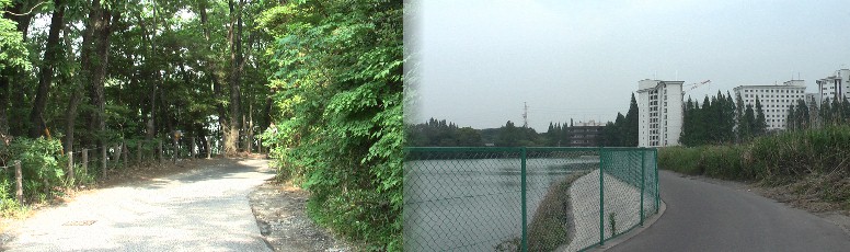 濁池南岸道と付近の鎌倉街道。