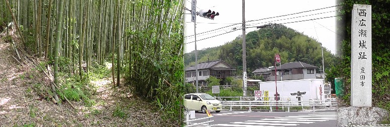 西広瀬交差点から見る西広瀬城址（右）。城郭内は竹薮と雑草に覆われ詳細不明。