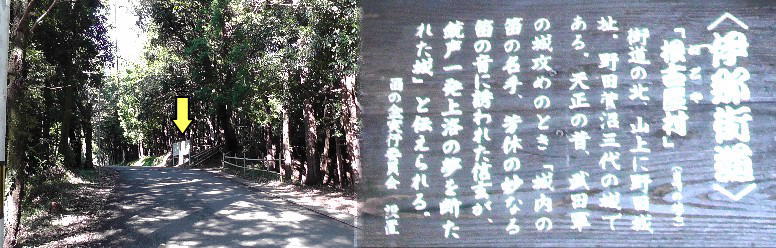 åéå
„ćå£ļ¼é»č²ć®ē¢å°ļ¼ć«ē«ć£ć¦ććčŖ¬ęęæć