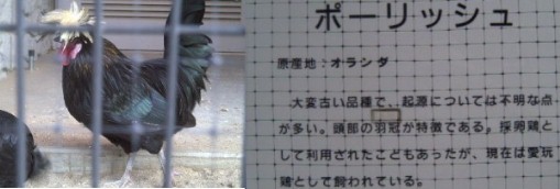 駅から南東約１．１キロ（市ﾊﾞｽ利用）、 都市農業の振興のため昭和４０年開設された名古屋市農業センター 牛の放牧、なごやコーチンの飼育、約７００本のしだれ梅、産地直売農産物 しだれ梅まつり開催 名古屋市農業センター