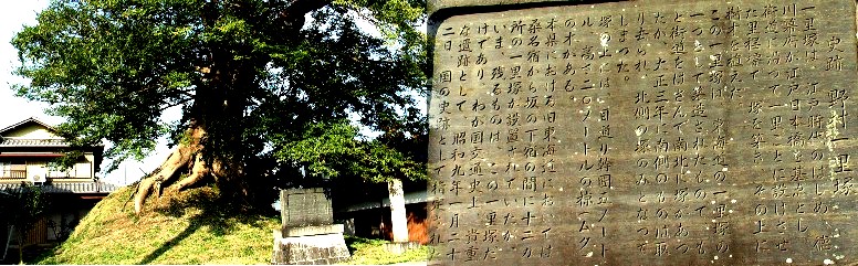 野村一里塚、2011.11.1、3回目訪問時の写真。