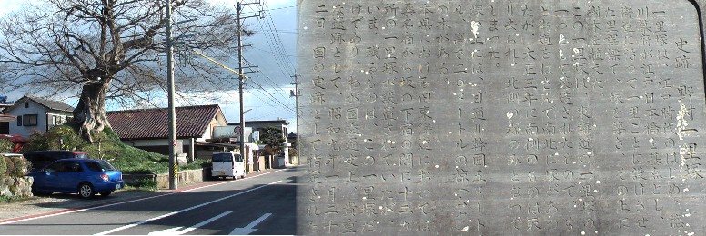 野村一里塚、平成12年過ぎ再度訪問して撮影したものです。