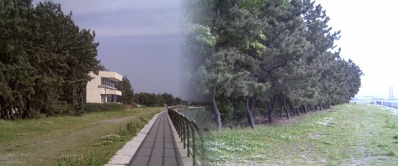 約1.4キロの松並木と藤前干潟の景観は海と市民が触れる数少ない癒しの場所です。 白い建物は名古屋市野鳥観察館