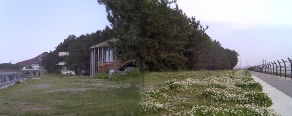 遊歩道も整備された稲永公園一帯・建物は手前から稲永ビジターセンター、 名古屋市野鳥観察館、稲永スポーツセンター