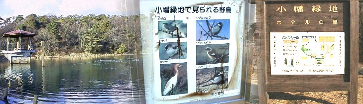 駅東一帯は広大な小幡緑地が広がる。竜巻池と案内板