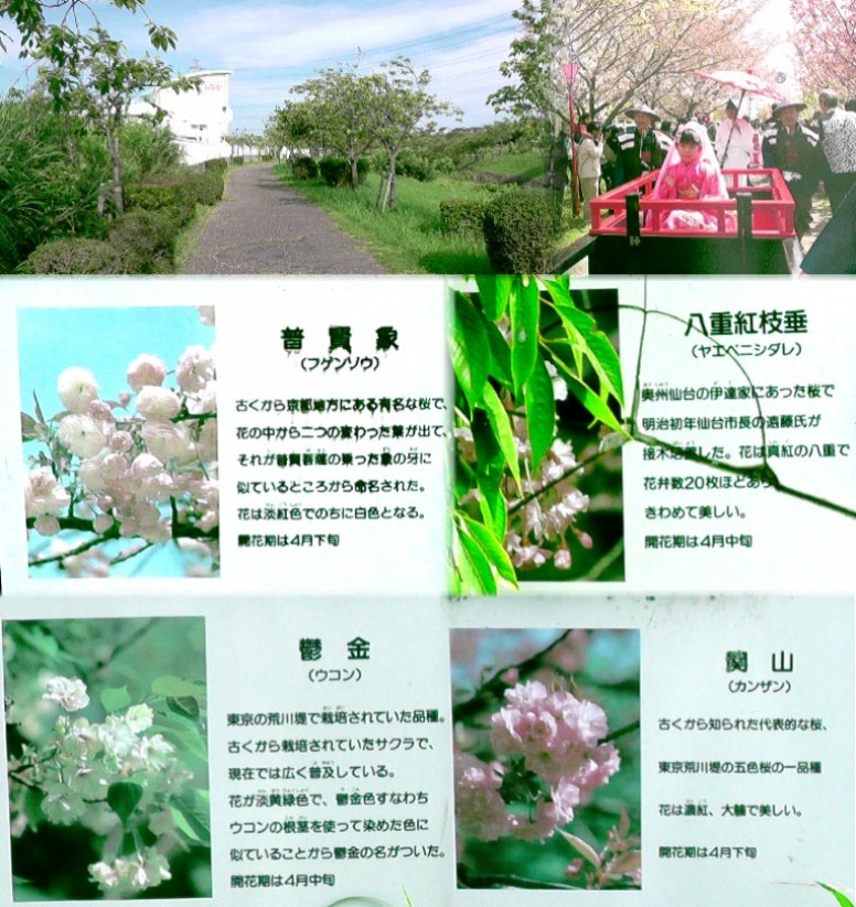 愛知・３８市史跡・社寺めぐりー東浦町(その４)