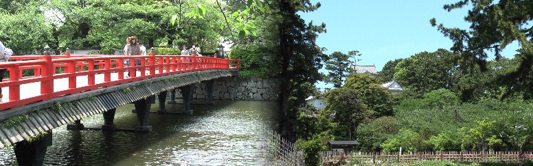 お堀端から天守閣を望む。