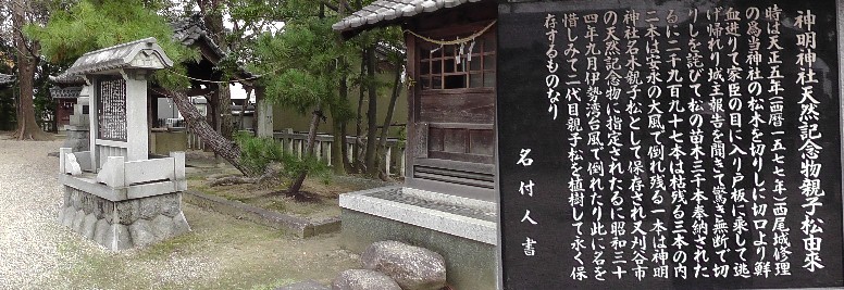 小垣江神明神社境内の親子松。