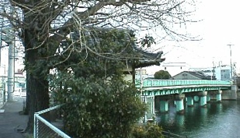 上記小栗街道を東へ進むとこの橋(小栗橋)の西端に 出ます(写真)橋のたもとに小さな地蔵堂があり、大きな古木が 立っています。いつの時代に建立したかは全く不明ですが民の安全 と供養を願って建てられたのは今も昔も変らない。ささしまライブ 駅か近