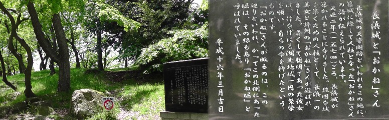 長浜城本丸橋のすぐ西の小高い山。