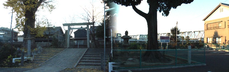 大明神社境内起の大銀杏と加納邸のいぶき。