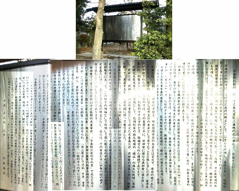 ”まつ”生誕の地です。