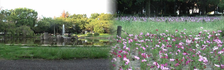 明治末期から始まった名古屋港周辺の埋め立て工事により大江川が形成され、伊勢湾台風の 大災害を乗り越え昭和55年現在の整備された緑地が完成されました。寛文年間(1670年頃) には大江川湊として「万場の渡し」、津島祭りや近郷の米、鳴海の酒の運