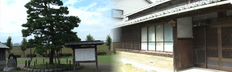 左:朝顔の松。右は川会所跡(住んでおられるようです)