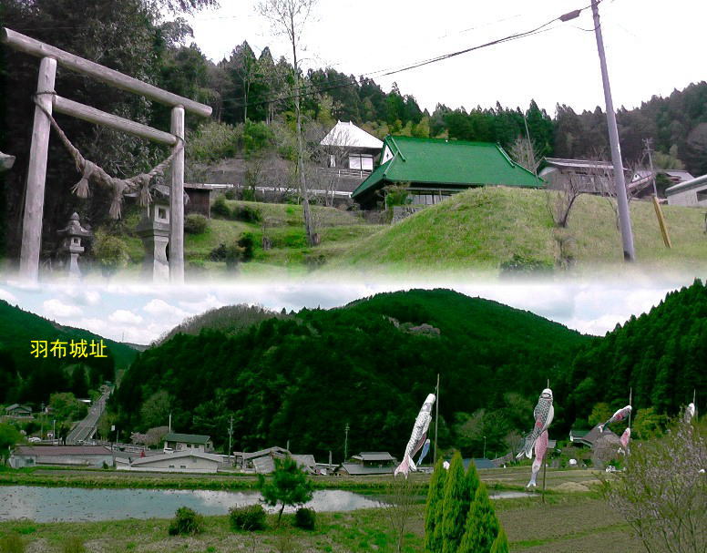 上は集落の熊野神社前まえから慈眼寺を撮る。下は羽布城跡のある山方面。