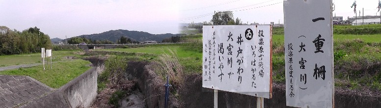 大宮川と付近の風景。