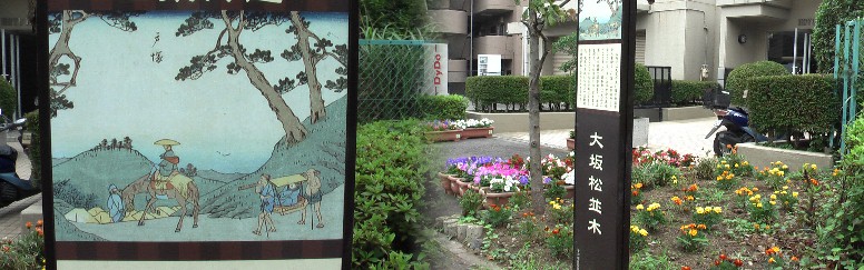 大坂の上り坂は続く。