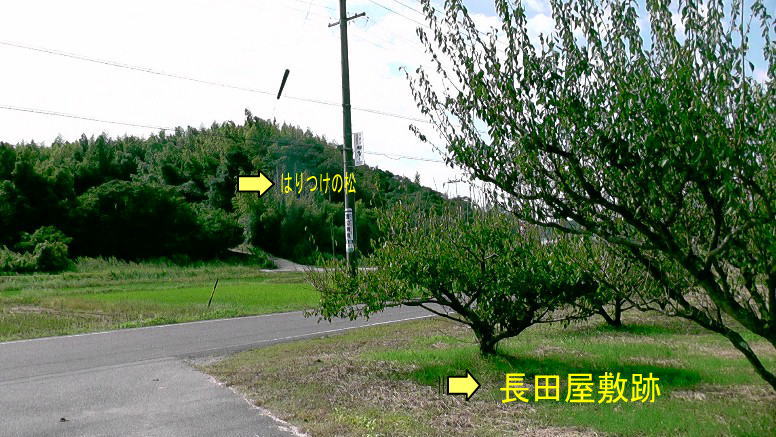 長田屋敷跡から「はりつけの松」を撮る。