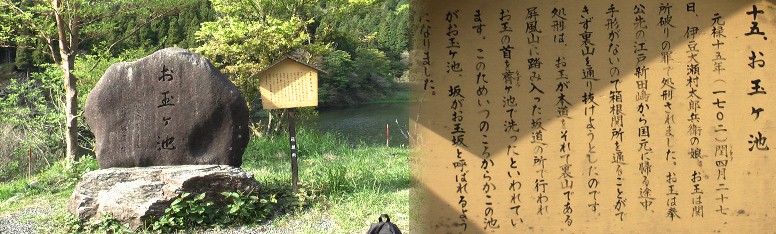 箱根宿から間の畑宿を通り小田原宿へ下って行きます、その途中のお玉ケ池。
