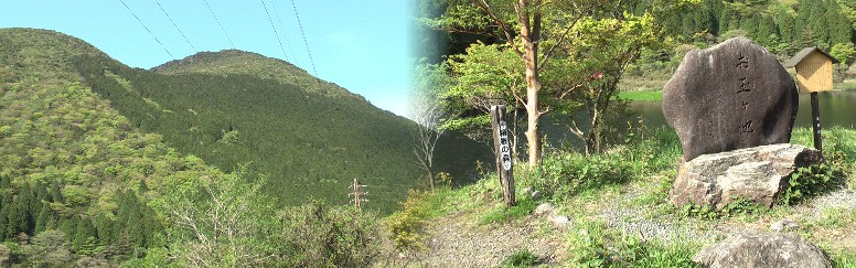 お玉ケ池と周辺の景色。