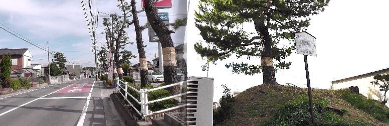 来迎寺一里塚付近の旧東海道の松並木（左）。一里塚北塚を民家を抜け東側より撮る。