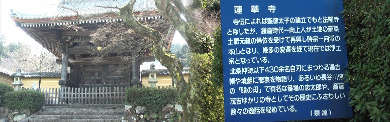蓮華寺・勅使門 蓮華寺