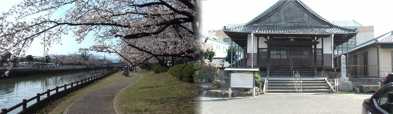 「ふたつや」の渡し場筏川下流の桜(左)。右は蓮如堂。 蓮如堂