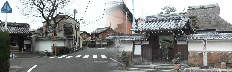 左:蓮照寺、右:唯心寺、茅葺きの本堂が珍しい。この前は升形道路となっている。 蓮照寺