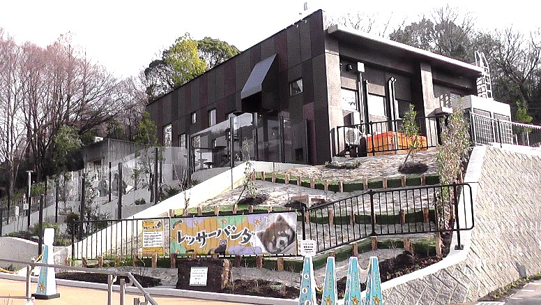 東山動物園初公開のレッサーパンダ。 東山動物園初公開のレッサーパンダ。 東山動物園初公開のレッサーパンダ。 東山動物園初公開のレッサーパンダ。 東山動物園・本園１。 東山動物園・レッサーパンダ舎ほか本園２。 東山動物園・本園３。