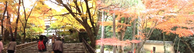 世界文化遺産登録・竜安寺