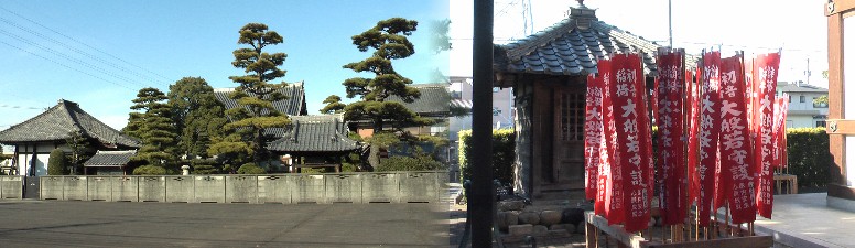 龍潭寺境内の初音稲荷大般若守護の幟の立つお堂。左は市道から見る全景、往時七本あった老松が ２本残り（左写真）市の保存樹に指定。