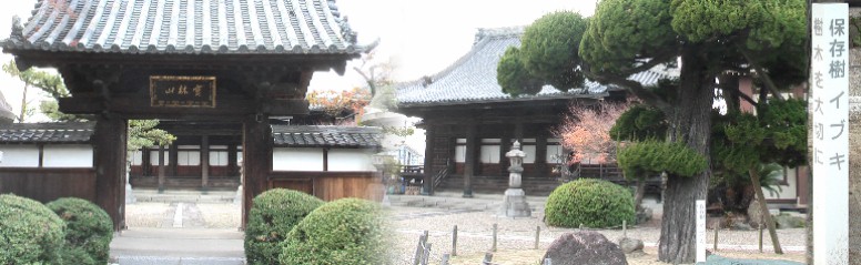西生寺。真宗大谷派、山号は宝林山。寺伝によると、鎌倉の士木村左兵衛という者が文治年間(1185?90)に流浪し、前津の小林に来住、親鸞上人に師事し西光と号した。そして、この地に 一寺を建立し、西光坊と称した。その後、丸米野村に移り、さらに天