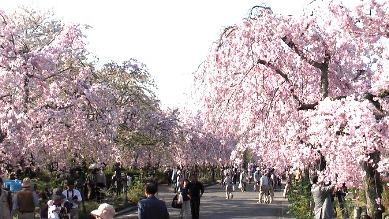 å®å±±åºæ±è°·å±±ïŒãšãããããïŒçŽåæ¬ã®ãã ãæ¡