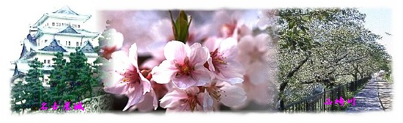 名古屋桜名所案内