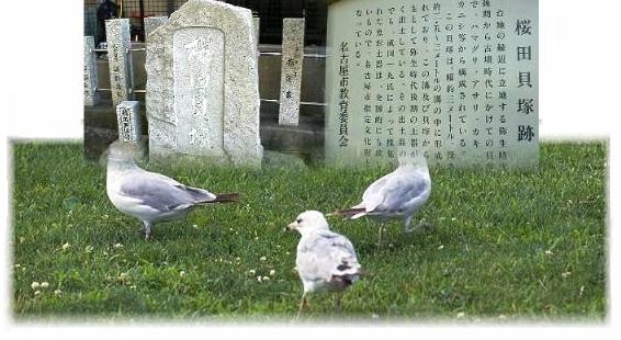 上記八幡神社境内にあります。台地の縁辺に立地する 弥生時代後期から古墳時代にかけての貝塚で、幅約３ メートル、深さ２．５～３メートルの溝の中に形成さ れており、名古屋市の指定文化財となっている。 下記の見晴台遺跡はここから約２５０メートル南