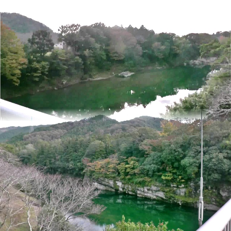 豊川に架かる歩道橋付近の景観。