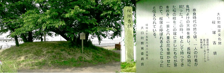 桜塚古墳。 桜塚古墳