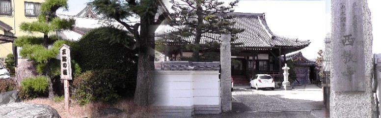 西教寺（右）、真宗大谷派ご本尊・阿弥陀如来。左は三鈷の松。 リンク：三鈷の松 三鈷の松 三鈷の松付近で危うく反対方向へ行くところを次の泉蔵寺まで同行してくださった９０歳のお父さん 有難うございました。