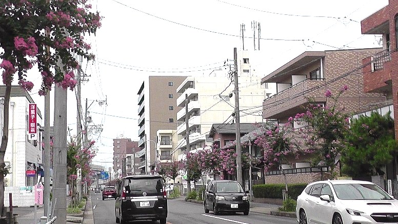 庄内通駅周辺案内(その１)